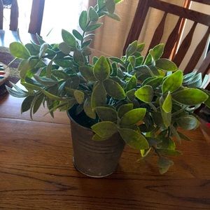 Succulent Plastic Plant